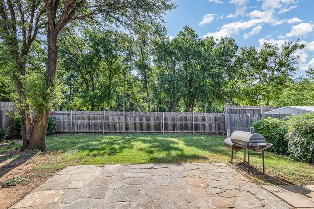 a view of a backyard with chairs potted plants and large tree