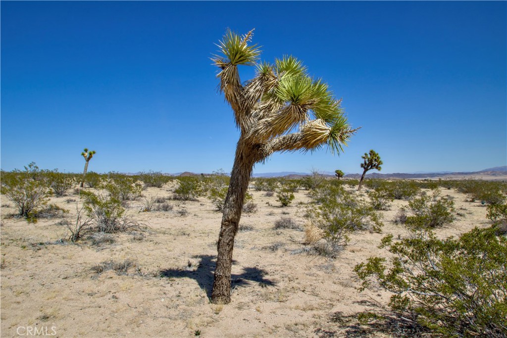 2625 Sunset Road Joshua Tree, CA 92252 - Photo 1 of 1 a view of a sky