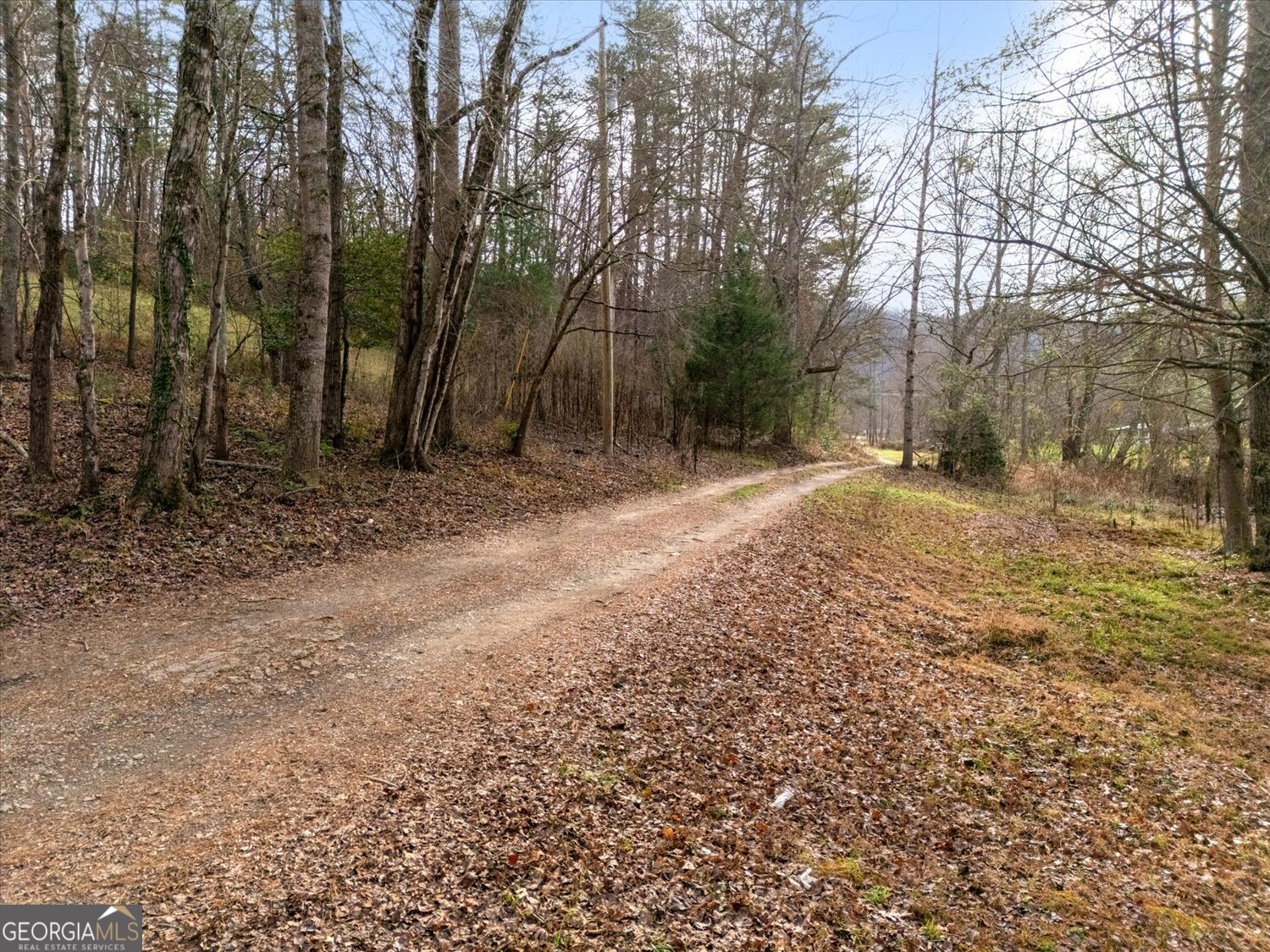 122 Sherbet Road Blairsville, GA 30512 - Photo 11 of 14 a backyard of a house with lots of green space