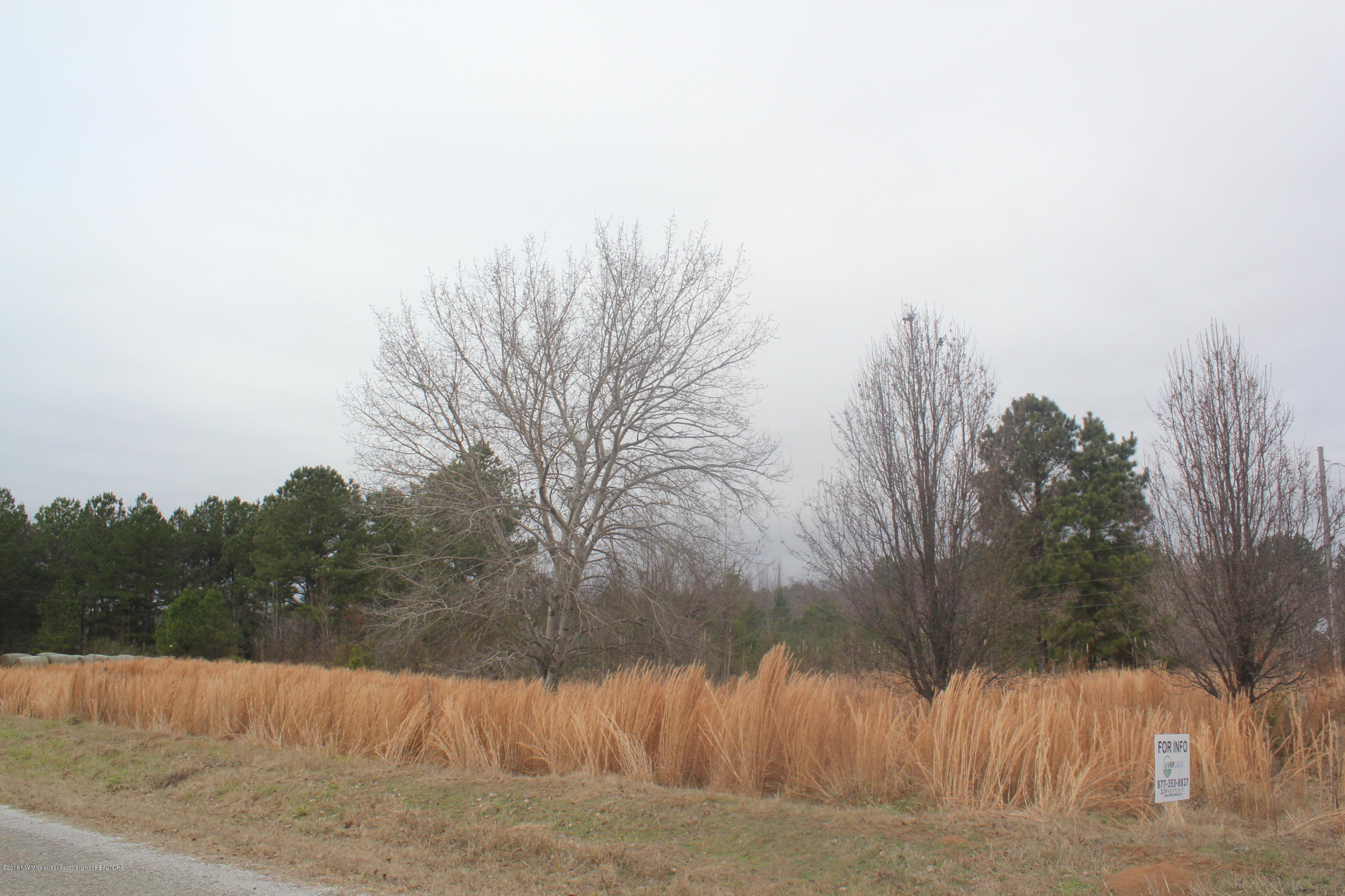 740 Witherspoon Road Michigan City, MS 38647 - Photo 1 of 15 295