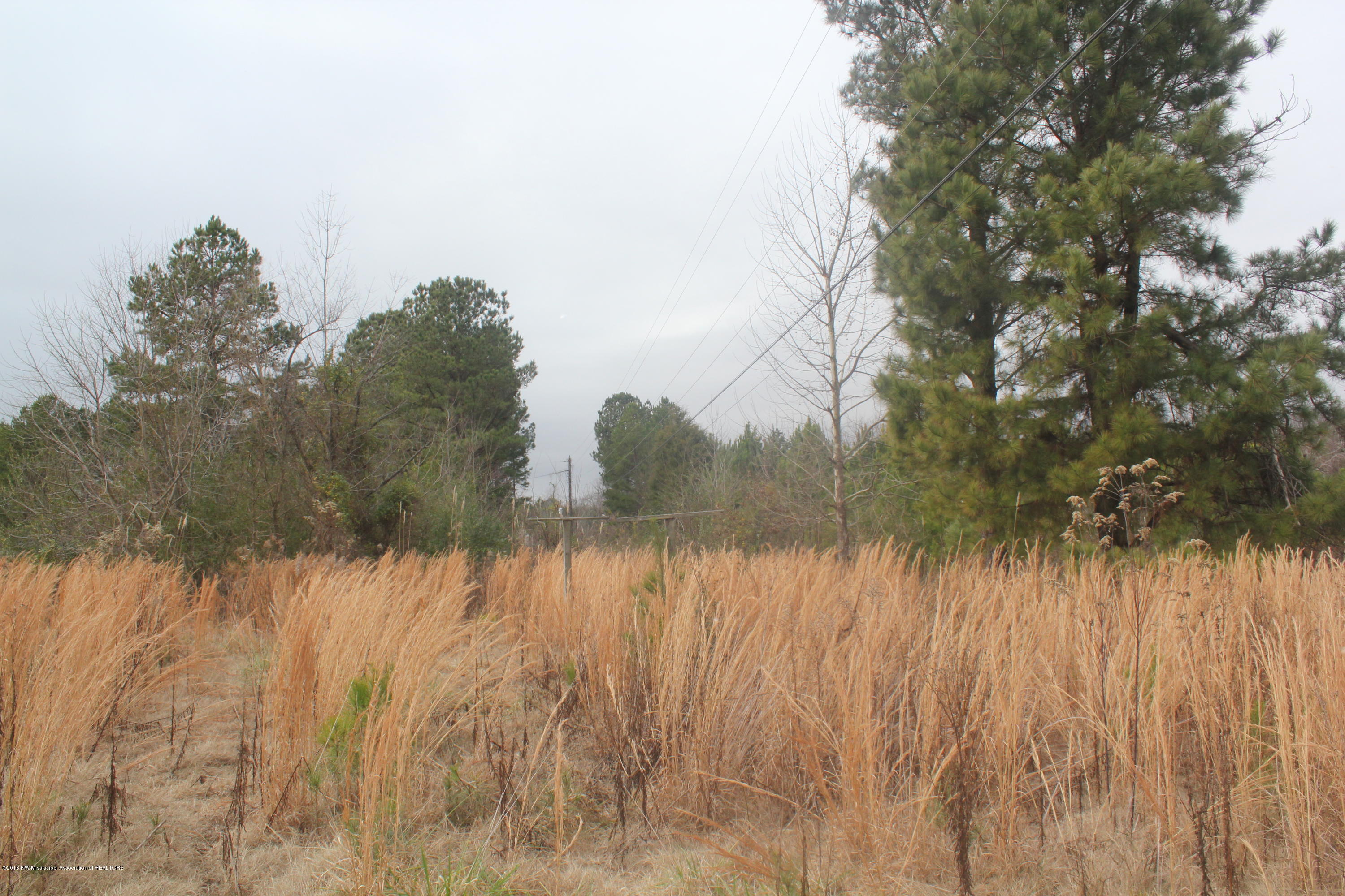 740 Witherspoon Road Michigan City, MS 38647 - Photo 11 of 15 305