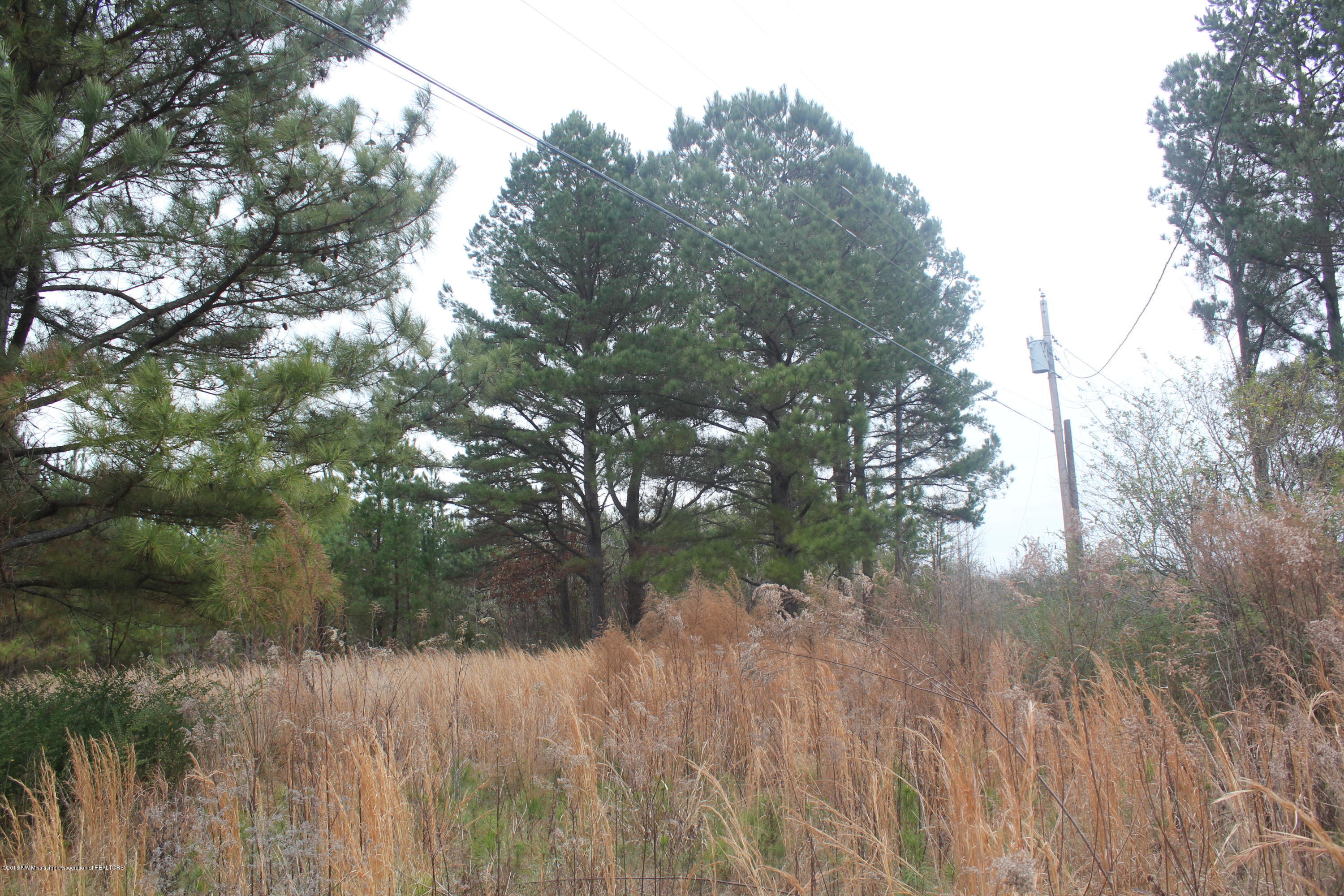 740 Witherspoon Road Michigan City, MS 38647 - Photo 14 of 15 308