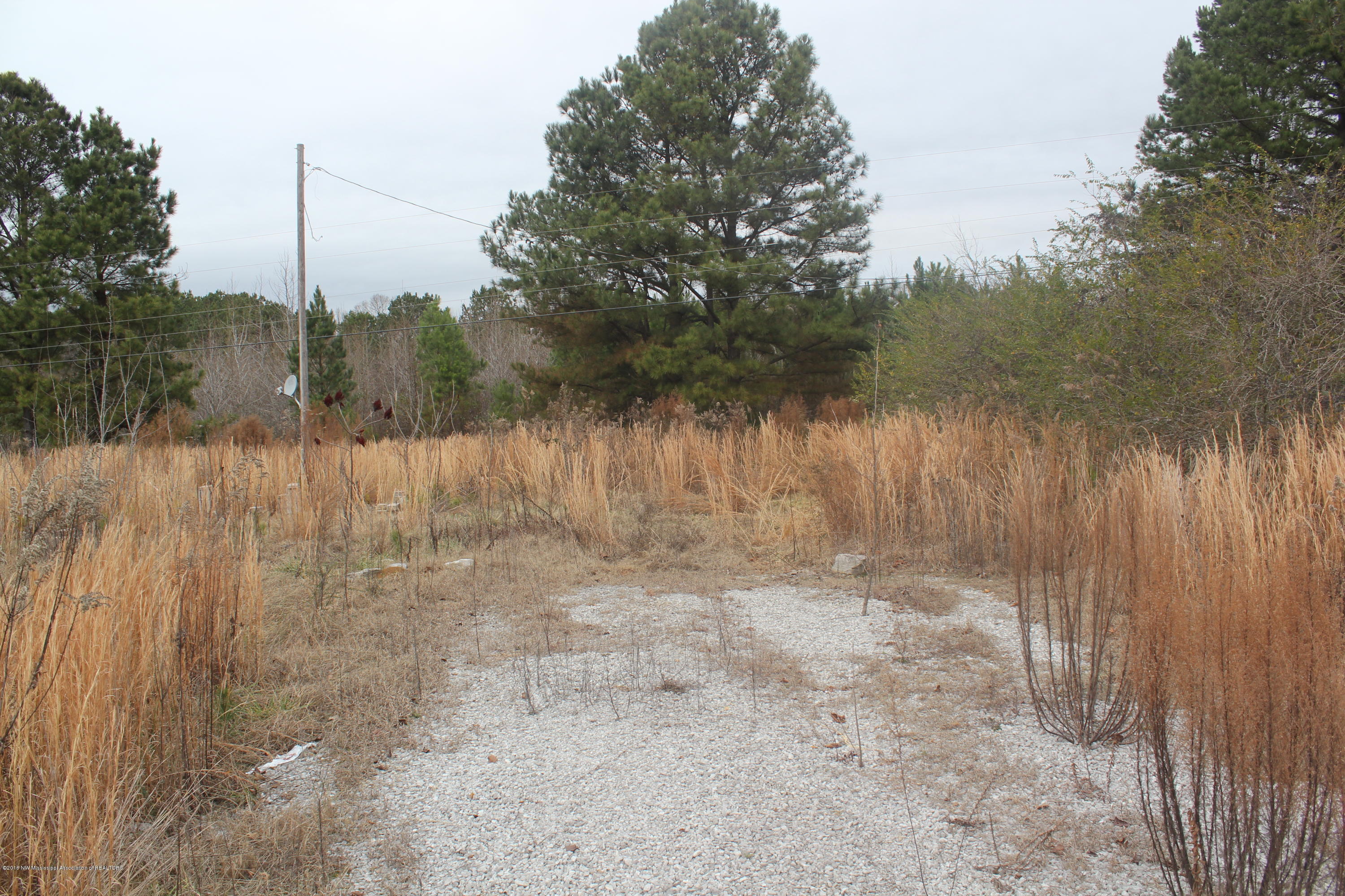 740 Witherspoon Road Michigan City, MS 38647 - Photo 3 of 15 297