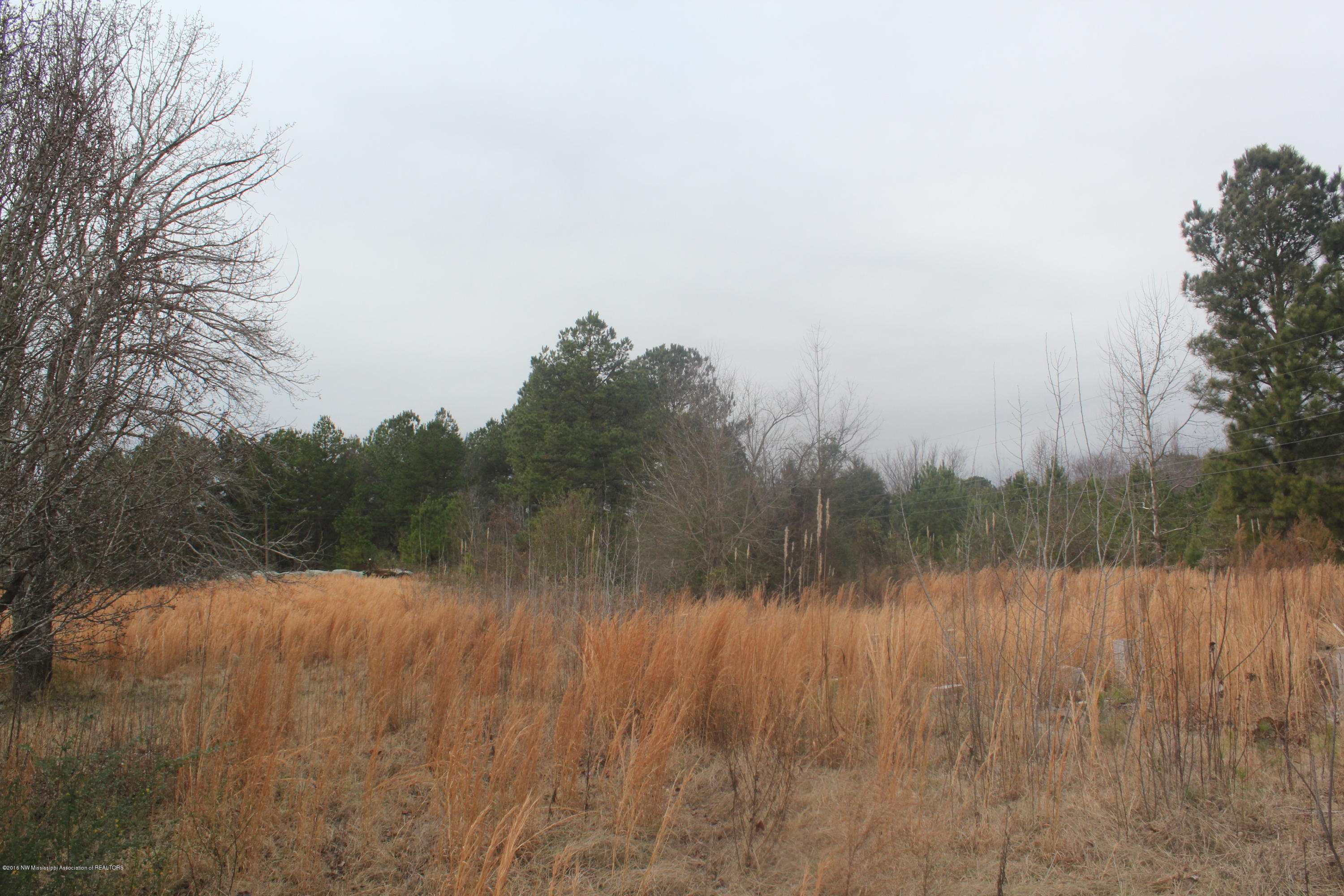 740 Witherspoon Road Michigan City, MS 38647 - Photo 6 of 15 300