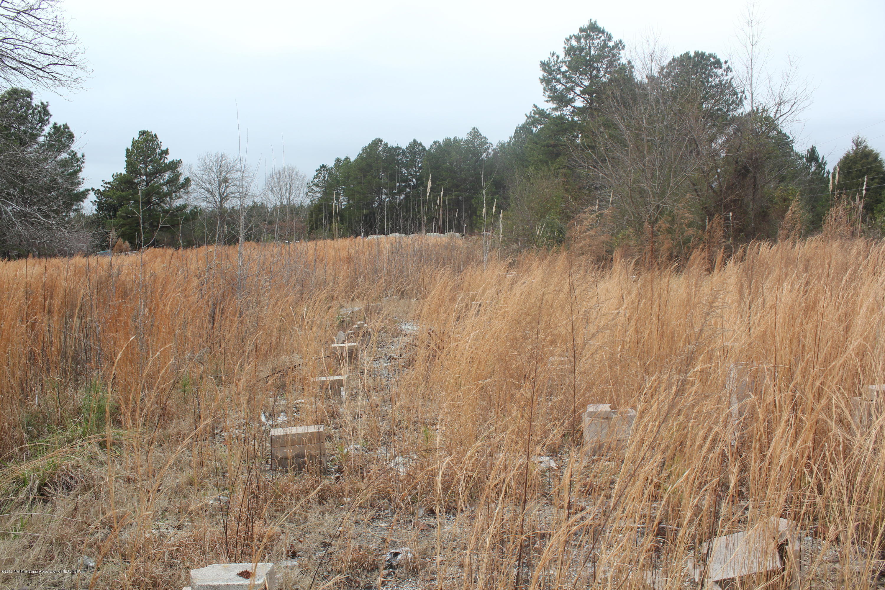 740 Witherspoon Road Michigan City, MS 38647 - Photo 8 of 15 302