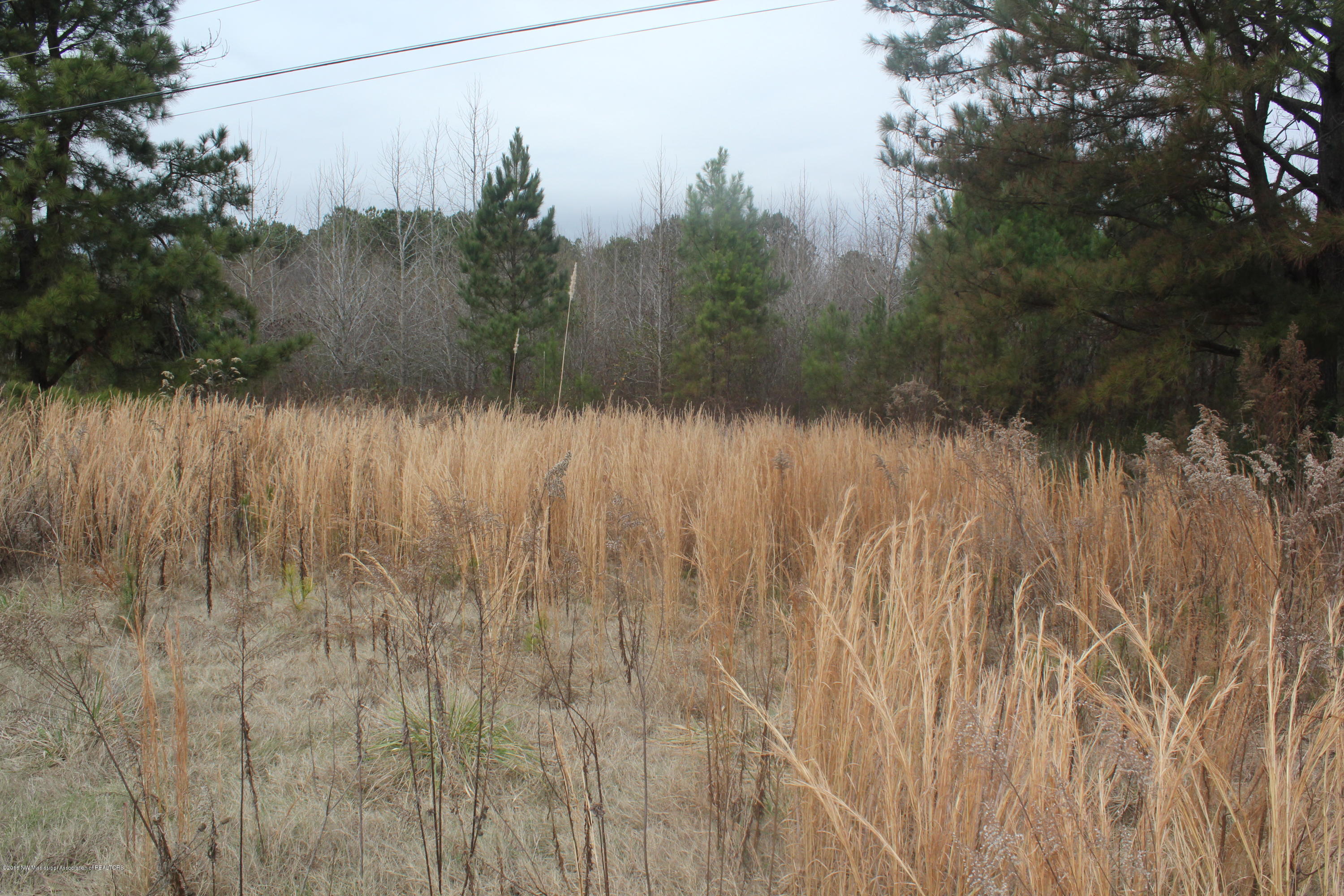 740 Witherspoon Road Michigan City, MS 38647 - Photo 9 of 15 303