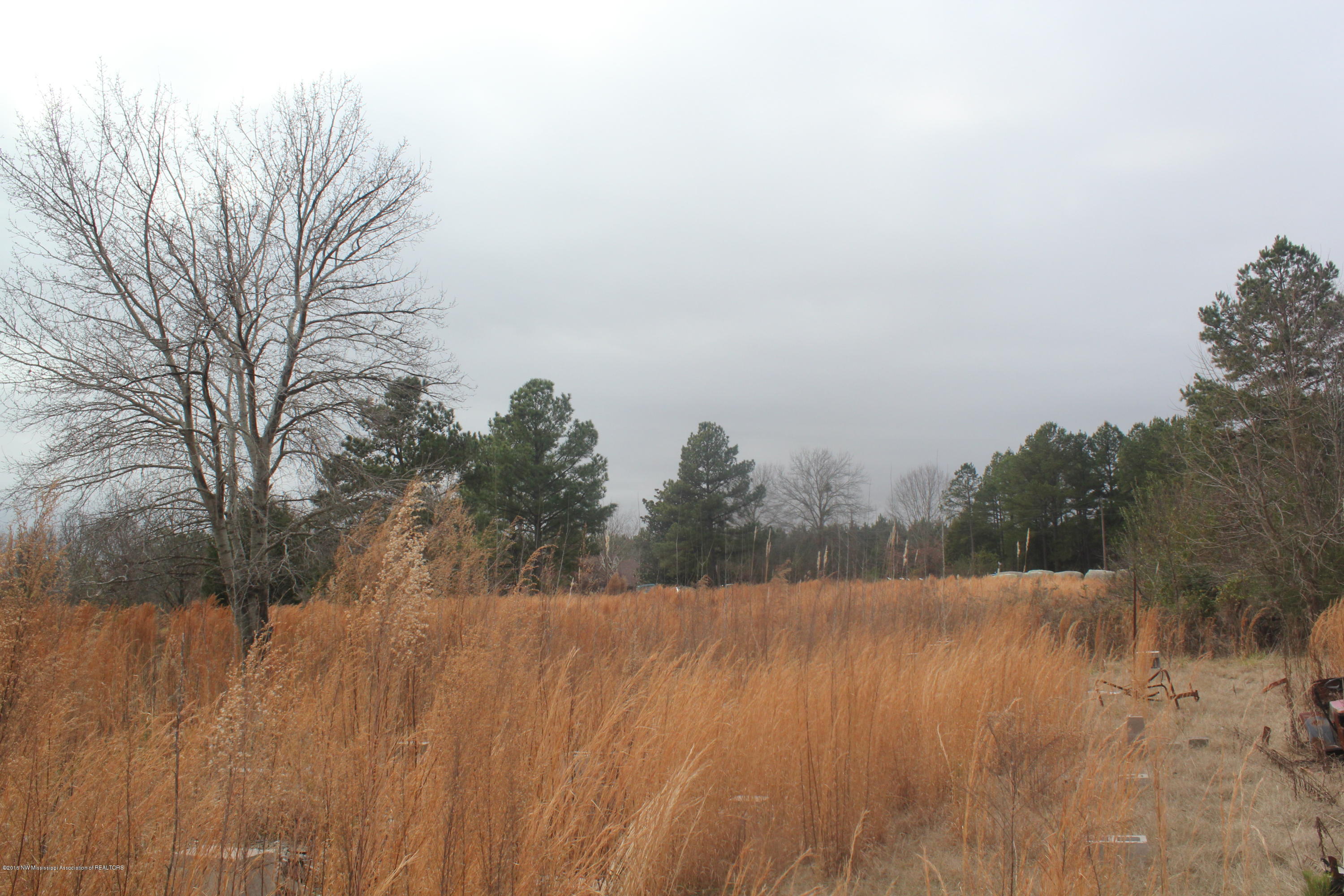 740 Witherspoon Road Michigan City, MS 38647 - Photo 10 of 15 304