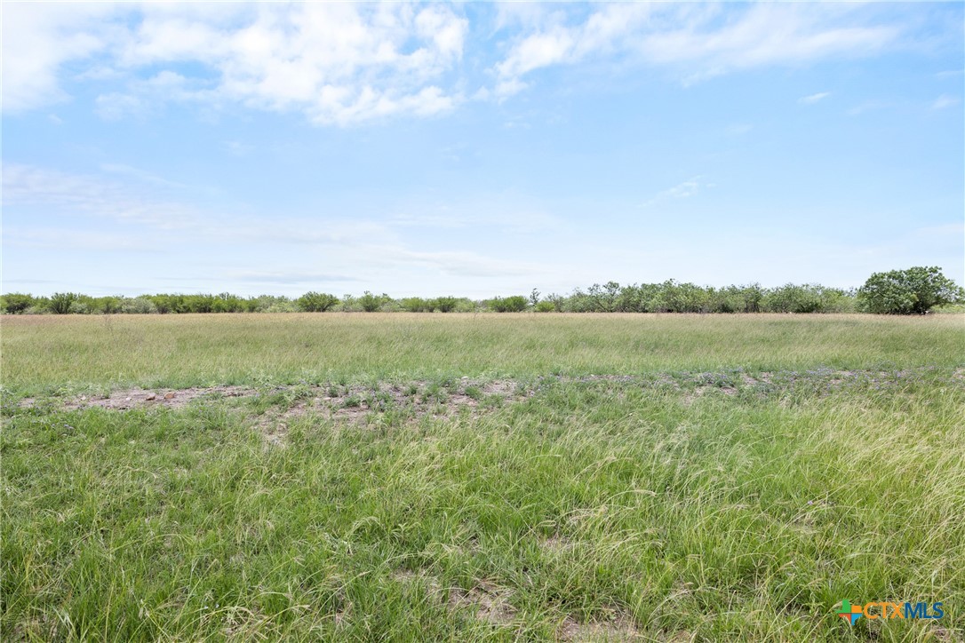 1190 Dickerson Road Lockhart, TX 78644 - Photo 13 of 40