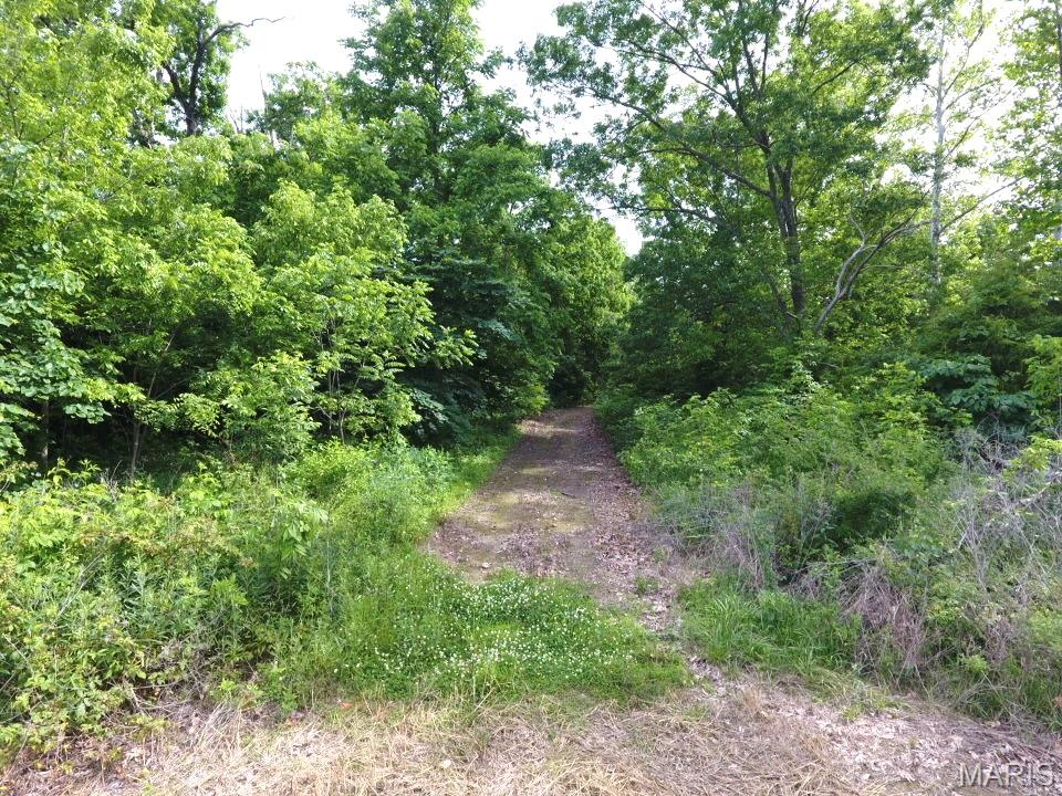 Tbd Van Horn Road Bland, MO 65014 - Photo 15 of 47