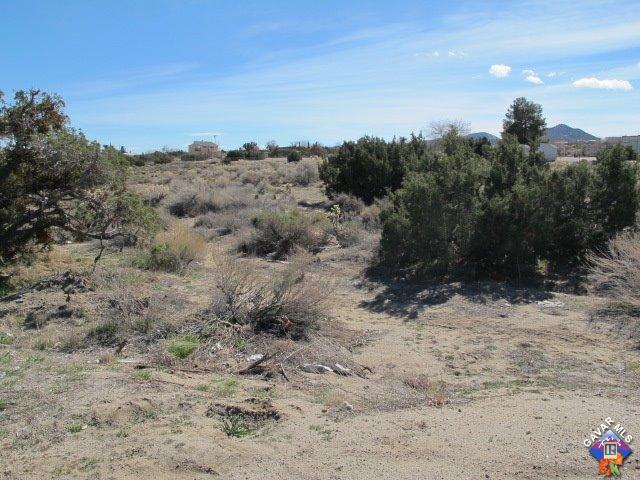 0 Sheep Creek Road Phelan, CA 92371 - Photo 7 of 7 Additional Photo