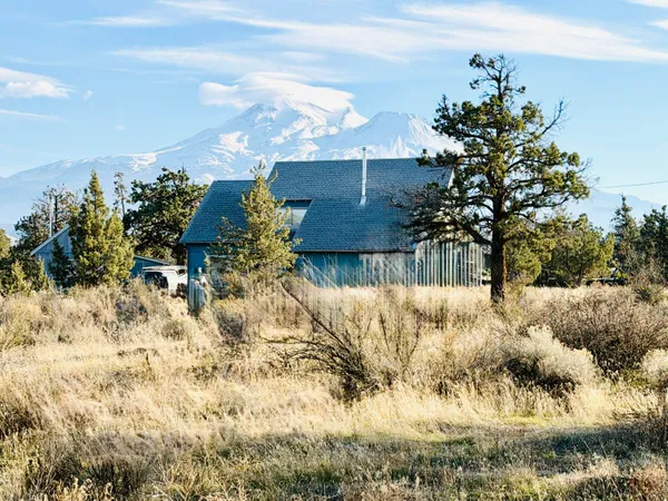 a view of a yard with a tree