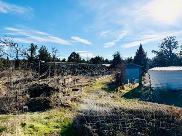 a view of a big yard of grass and trees