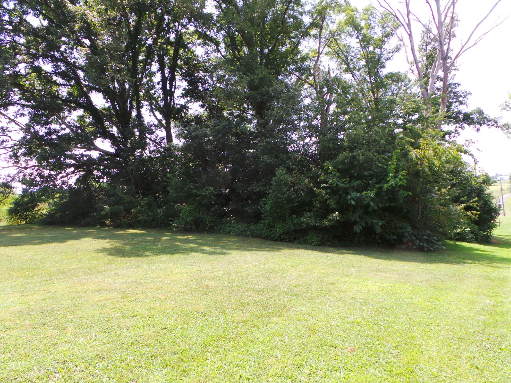 210 Barren Road, Unit 46 Chuckey, TN 37641 - Photo 11 of 49 11