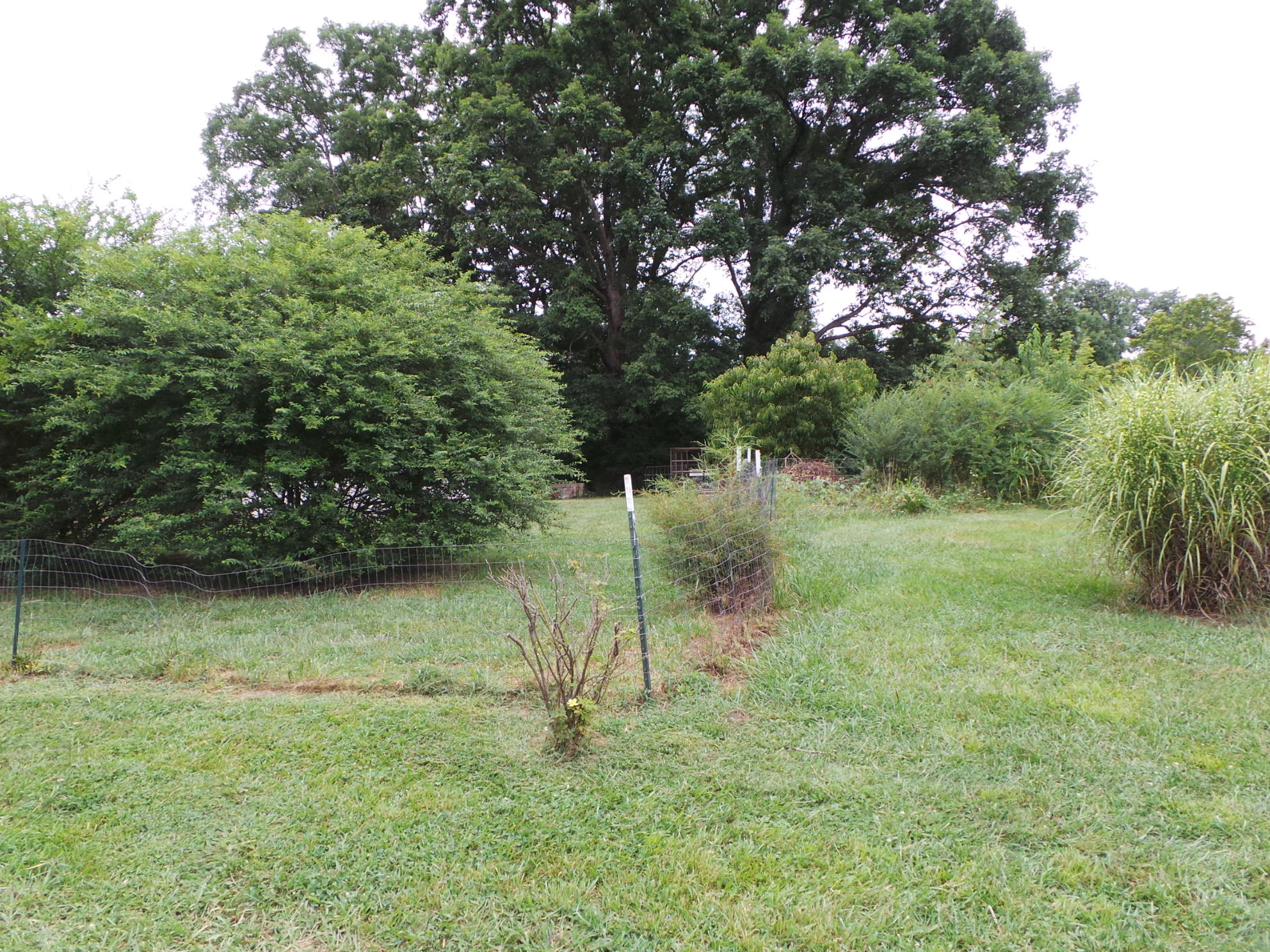 210 Barren Road, Unit 46 Chuckey, TN 37641 - Photo 29 of 49 29