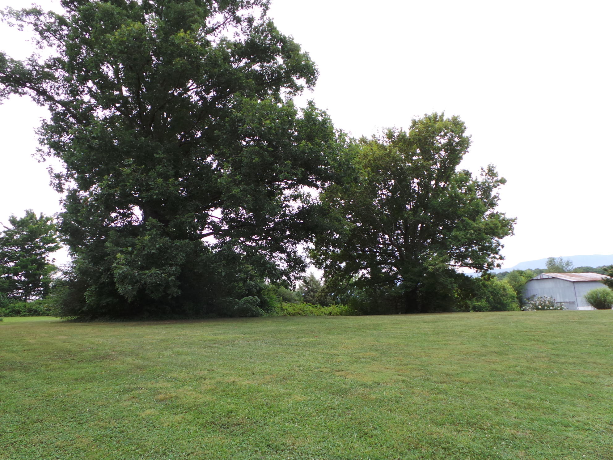 210 Barren Road, Unit 46 Chuckey, TN 37641 - Photo 40 of 49 40