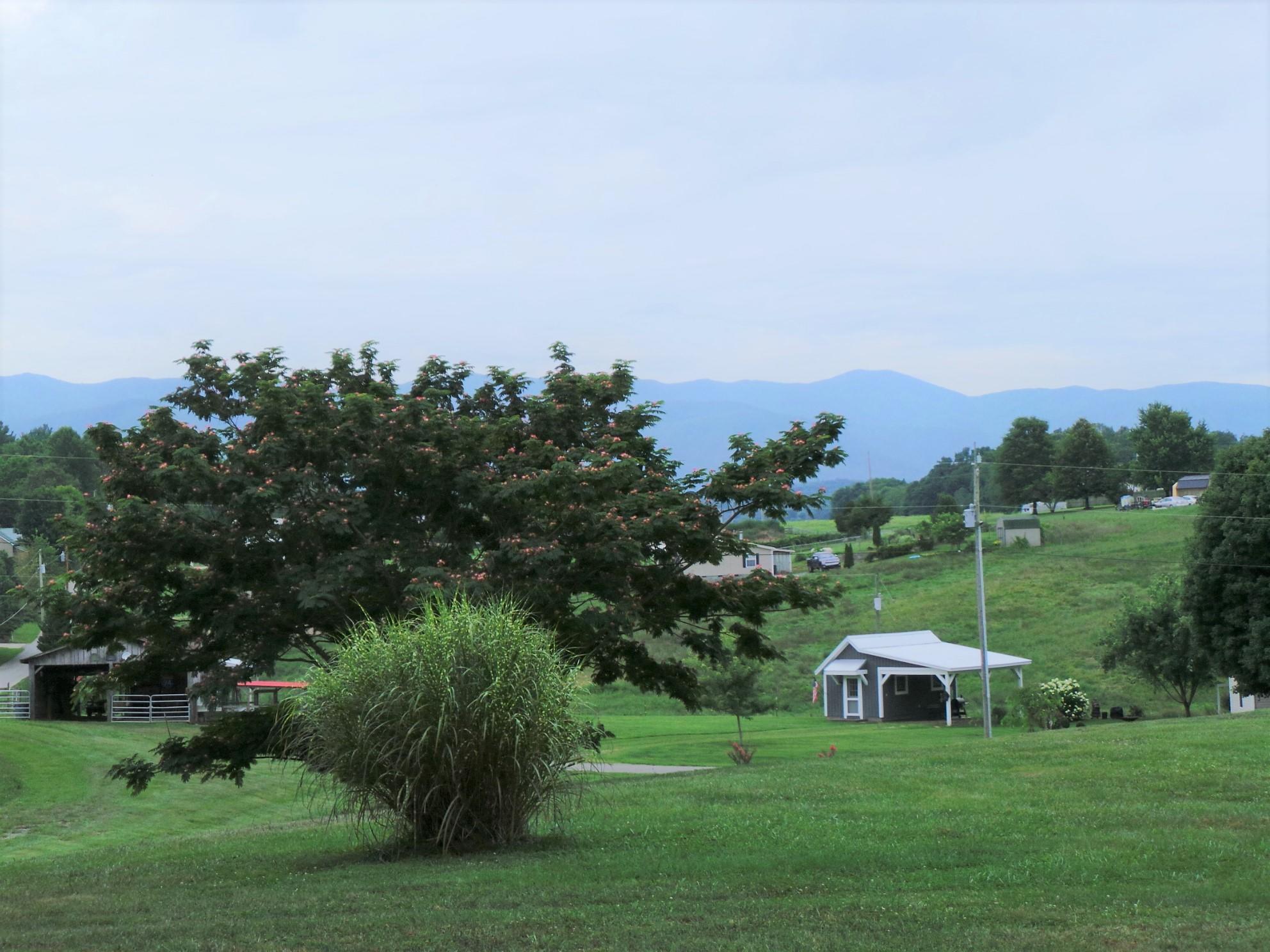 210 Barren Road, Unit 46 Chuckey, TN 37641 - Photo 9 of 49 9