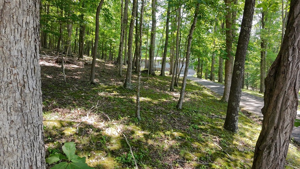 1753 Scratch Gravel Road Marion, VA 24354 - Photo 55 of 58 Gallery Image 55