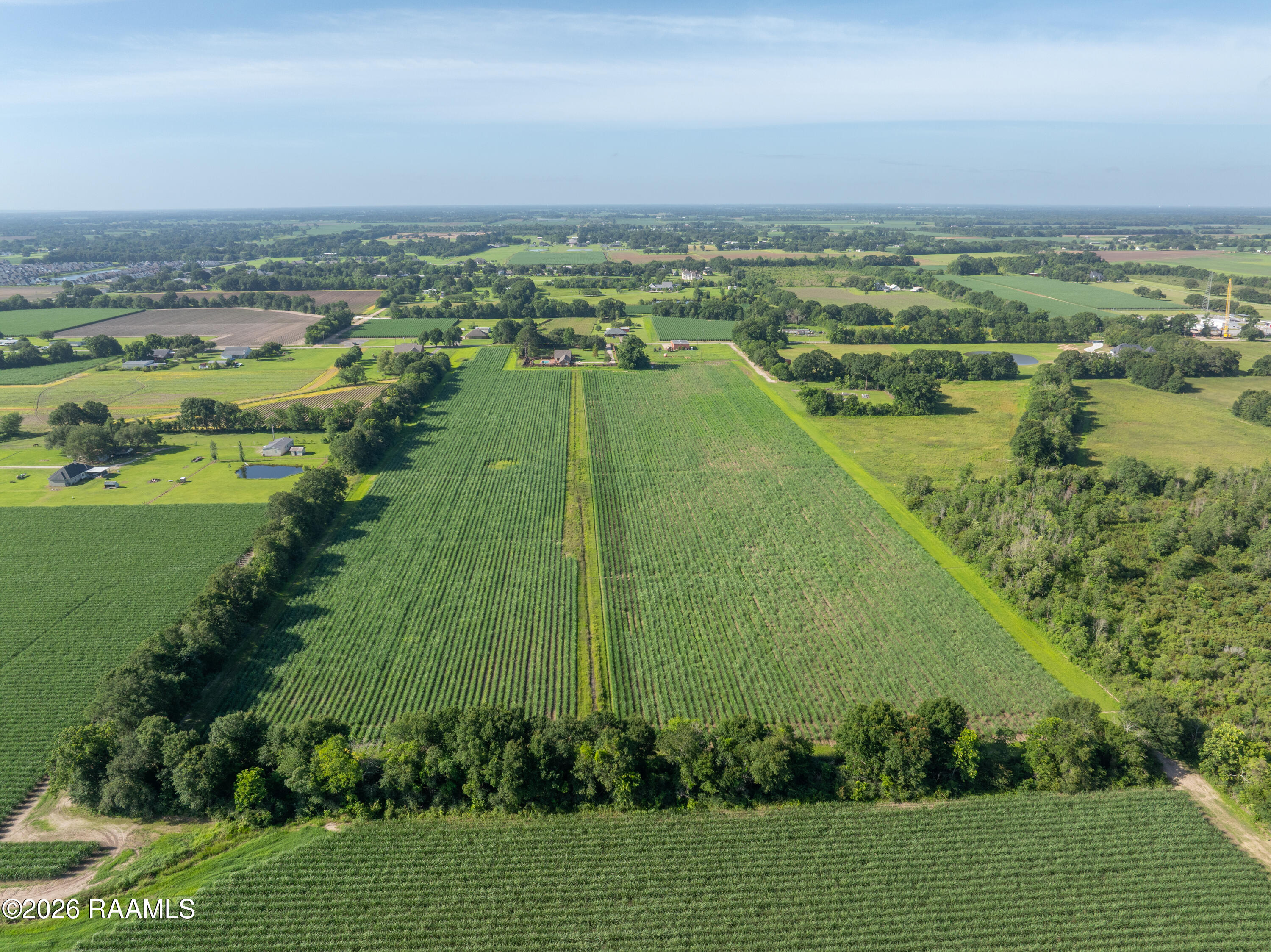 306 Simon Road Youngsville, LA 70592 - Photo 4 of 17