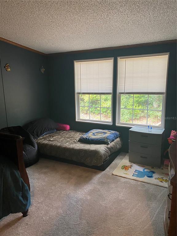 12681 Capitola Road Tallahassee, FL 32317 - Photo 21 of 25 Gallery Image 21