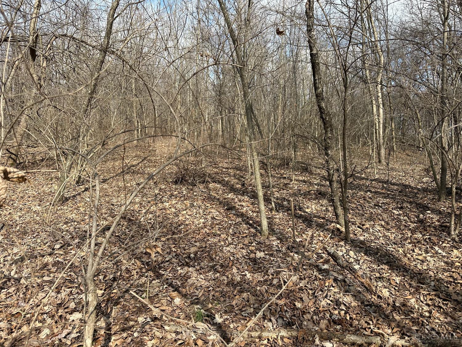 0 Wilson Road Winchester, OH 45697 - Photo 40 of 69