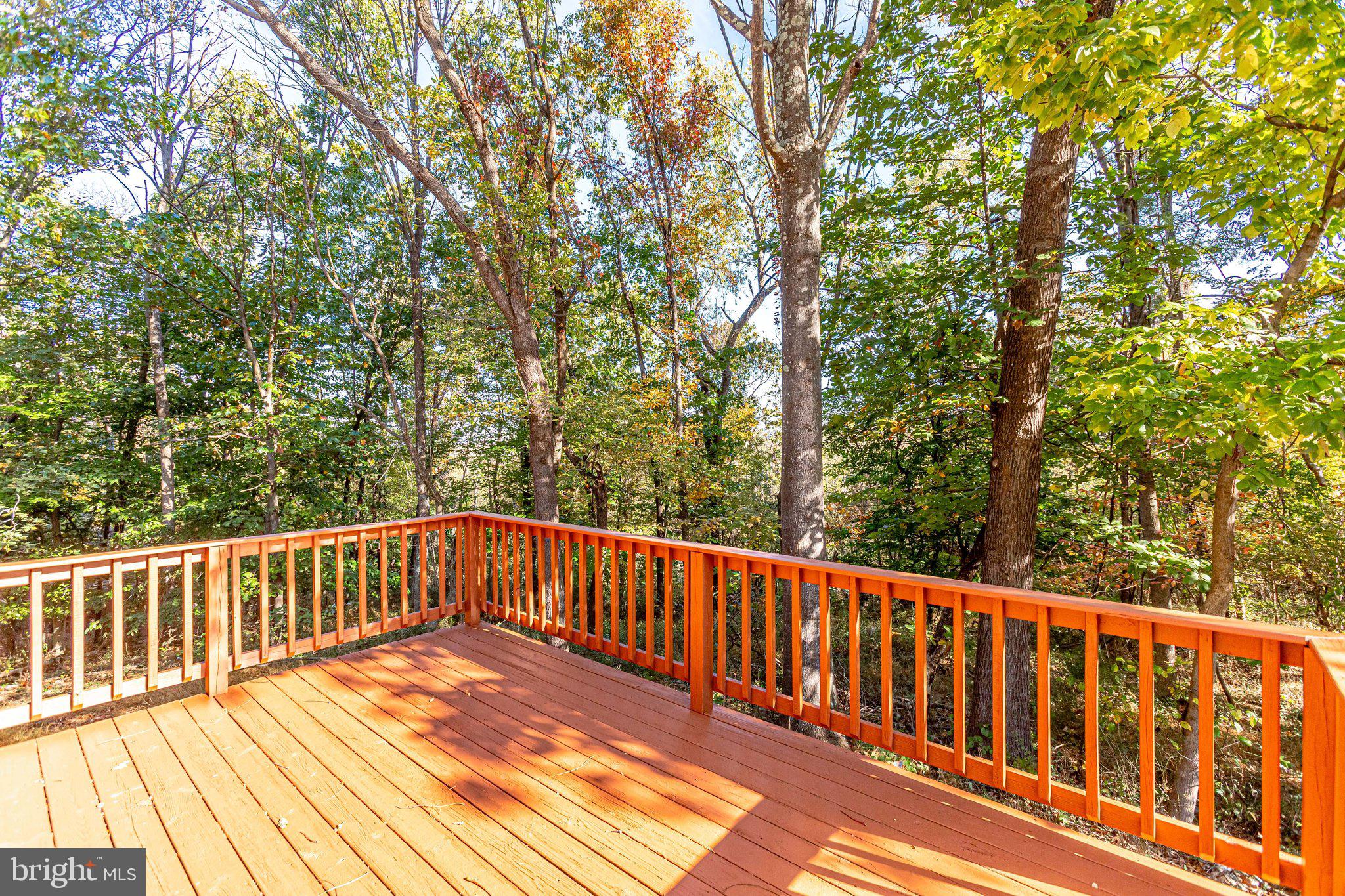 457 High Knob Road Front Royal, VA 22630 - Photo 58 of 79 Gallery Image 58