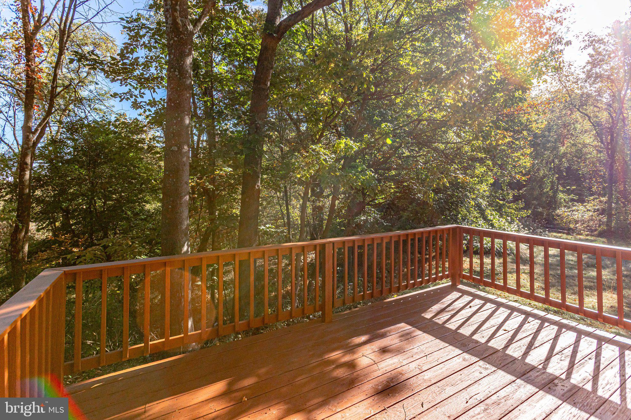 457 High Knob Road Front Royal, VA 22630 - Photo 62 of 79 Gallery Image 62