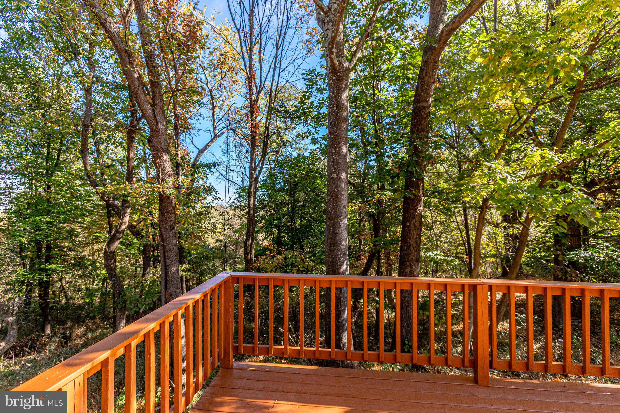 457 High Knob Road Front Royal, VA 22630 - Photo 63 of 79 Gallery Image 63