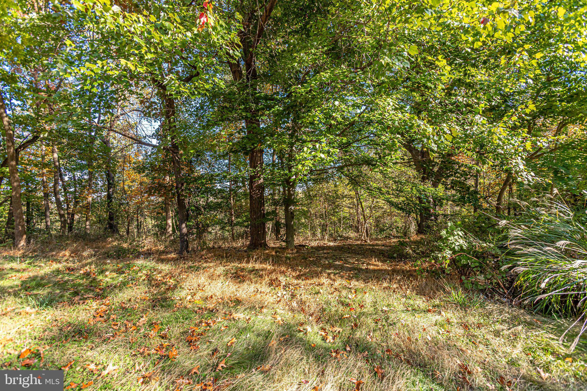 457 High Knob Road Front Royal, VA 22630 - Photo 67 of 79 Gallery Image 67
