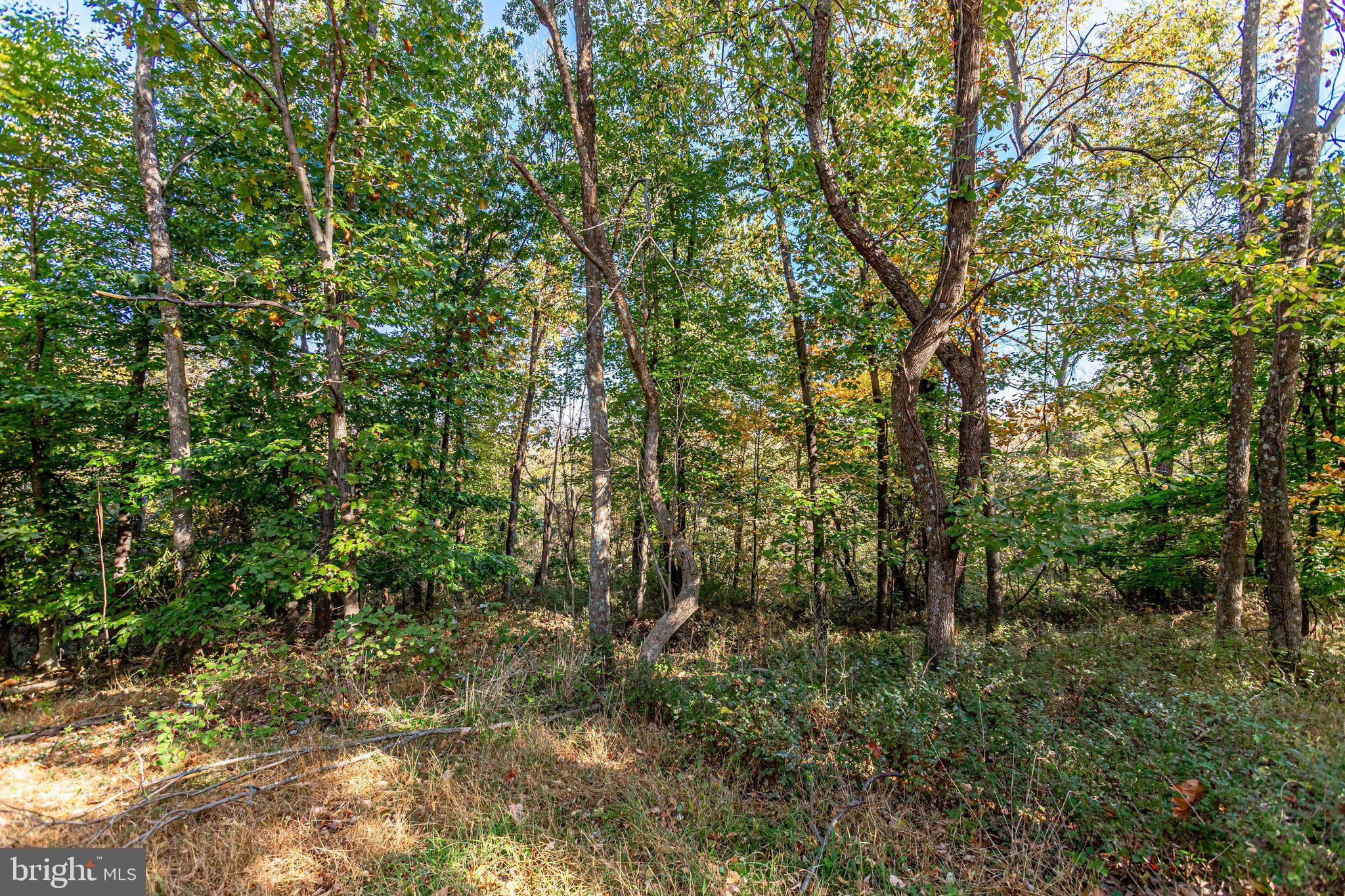 457 High Knob Road Front Royal, VA 22630 - Photo 71 of 79 Gallery Image 71
