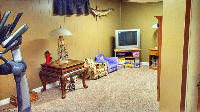 3015 Patton Street Northwest Canton, OH 44708 - Photo 12 of 16 Newly carpeted and painted basement has warmth and room for many activities.