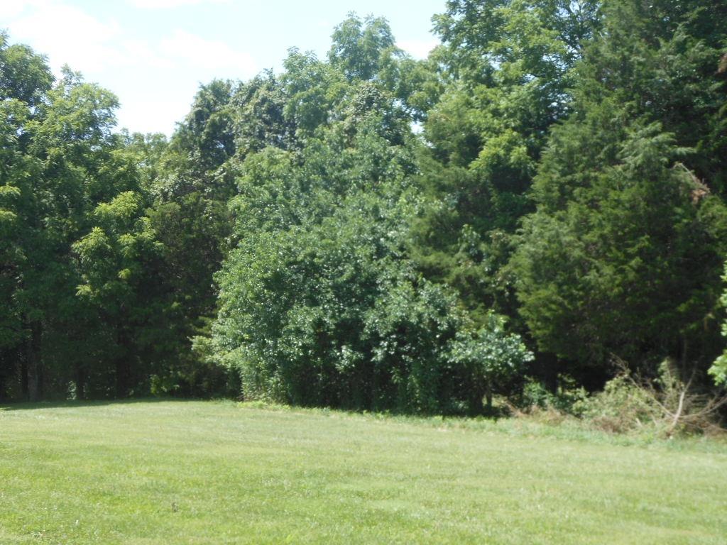 9393 Turtle Creek Road Florence, IN 47020 - Photo 36 of 39 Gallery Image 36