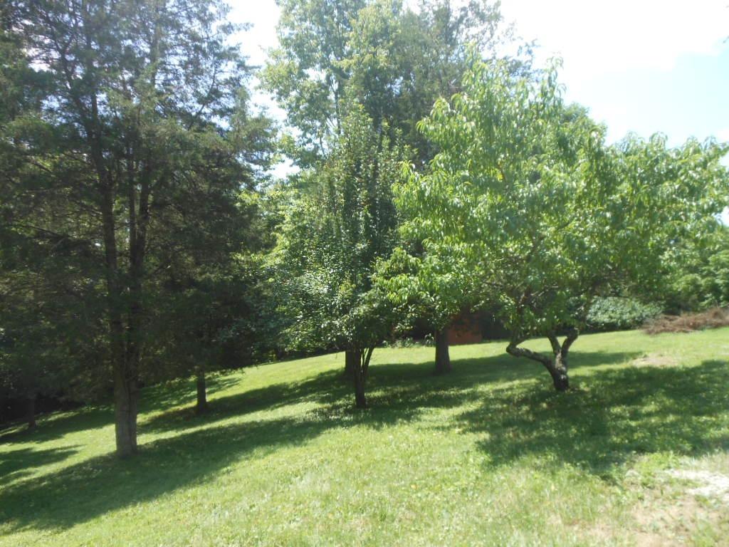9393 Turtle Creek Road Florence, IN 47020 - Photo 37 of 39 Gallery Image 37