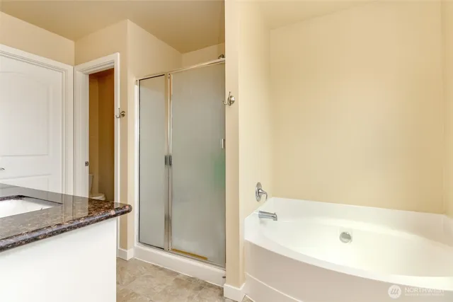 a bathroom with a granite countertop sink and a bathtub