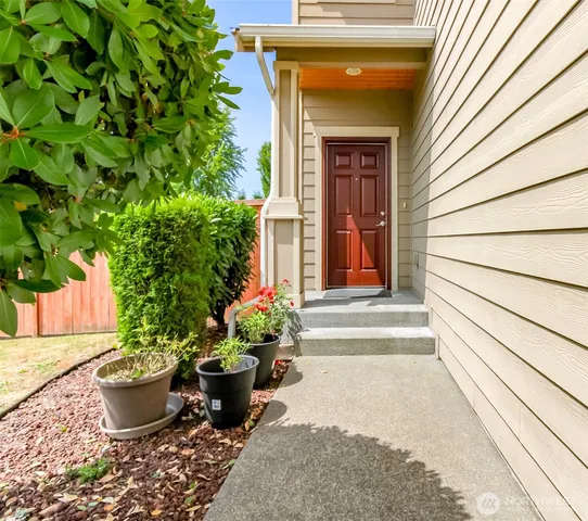 a potted plant sitting in front of a house