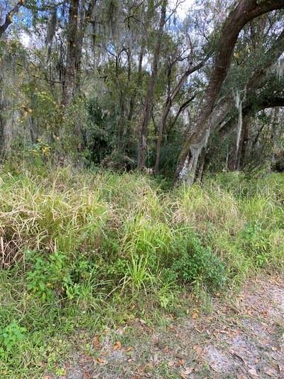 0 Drawdy Road Plant City, FL 33567 - Photo 1 of 1 FRONT OF PROPERTY, GRAVEL ROAD