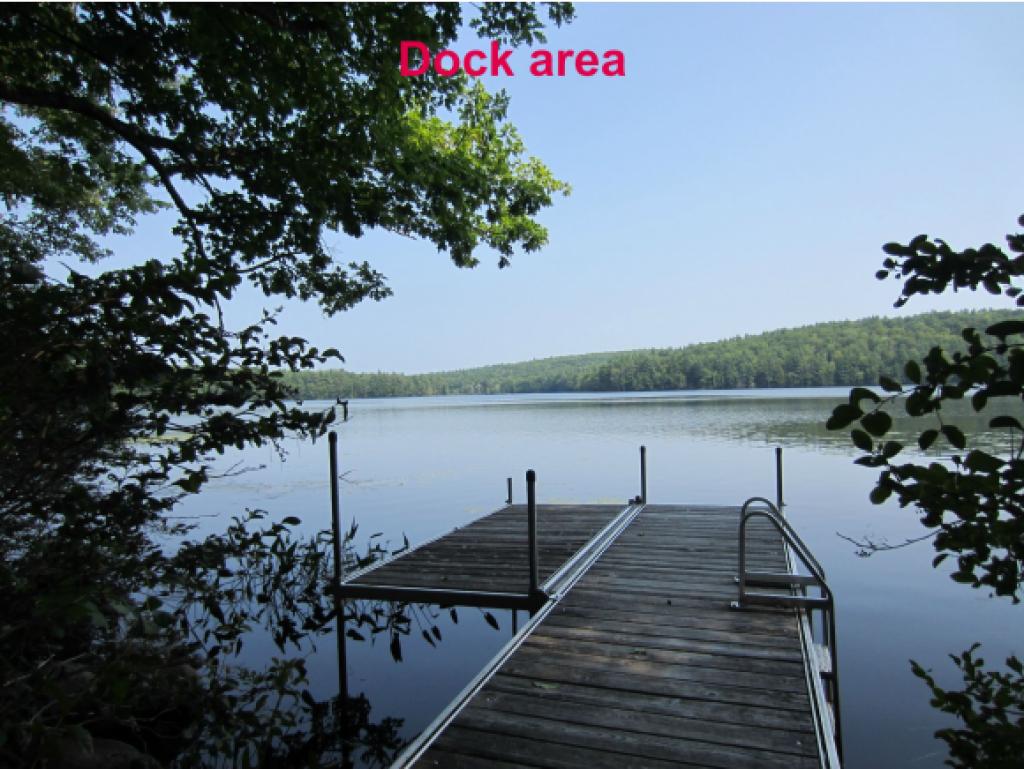 124 Walker Pond Road Webster, NH 03303 - Photo 3 of 35 Gallery Image 3
