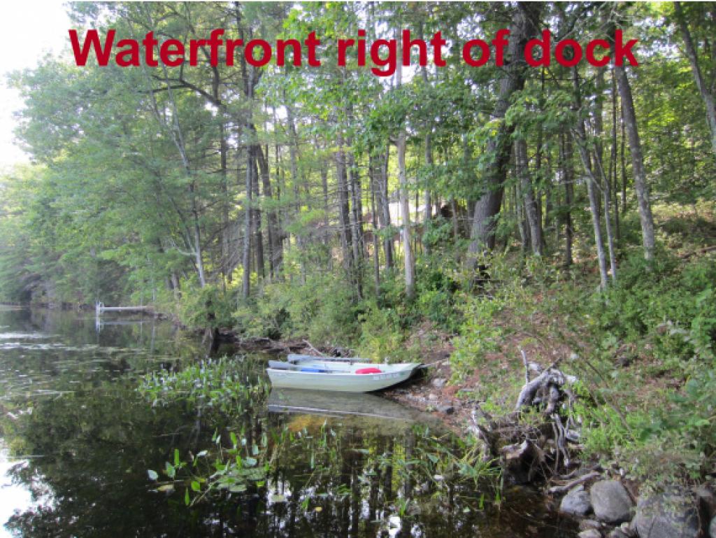 124 Walker Pond Road Webster, NH 03303 - Photo 21 of 35 Gallery Image 21