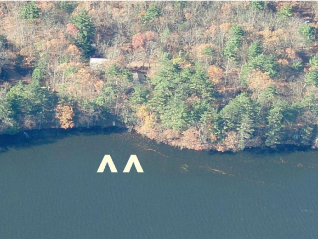 124 Walker Pond Road Webster, NH 03303 - Photo 22 of 35 Gallery Image 22