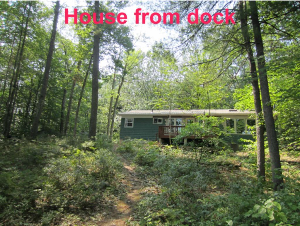 124 Walker Pond Road Webster, NH 03303 - Photo 5 of 35 Gallery Image 5