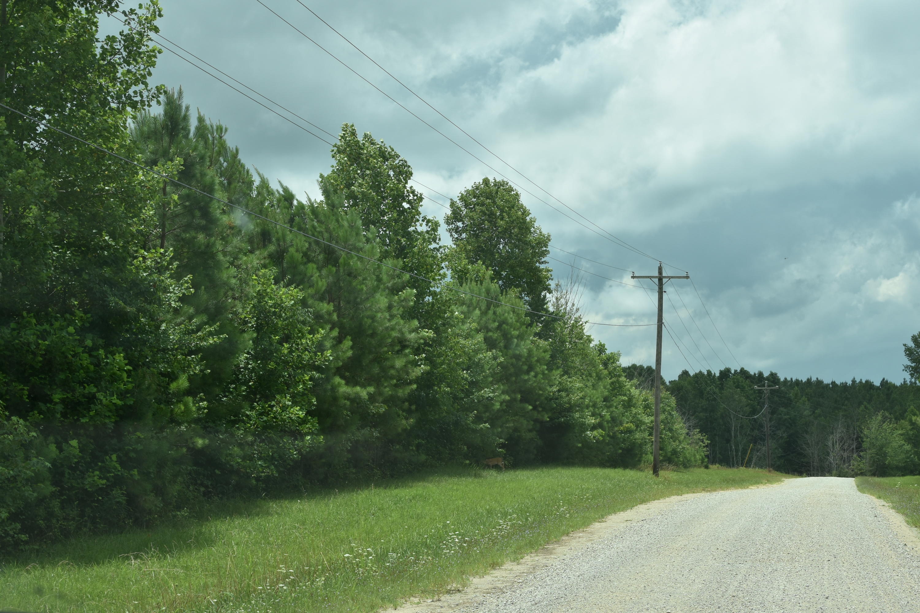 Billy Branch Road Sparta, TN 38583 - Photo 2 of 5 DSC_6146