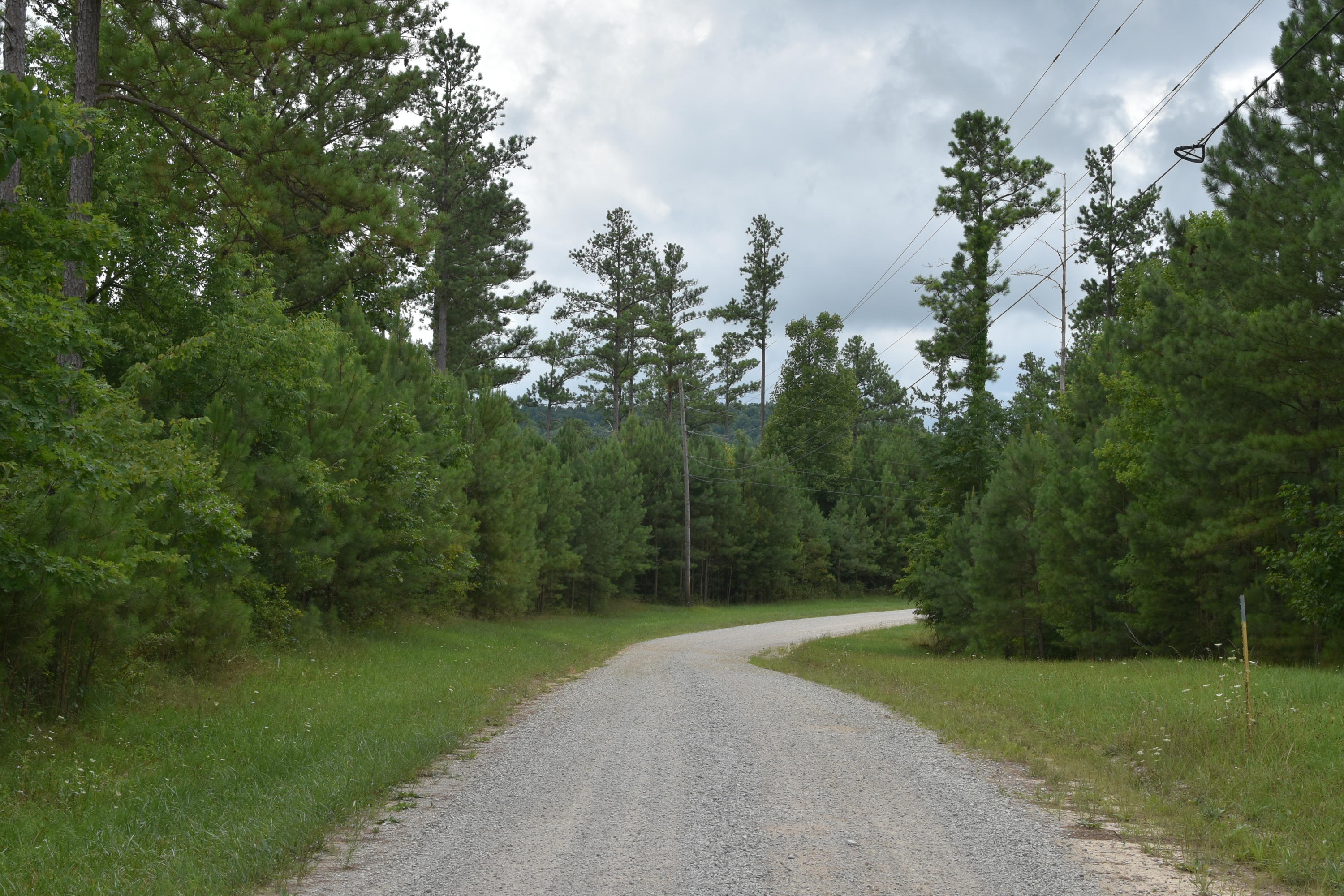 Billy Branch Road Sparta, TN 38583 - Photo 3 of 5 DSC_6152
