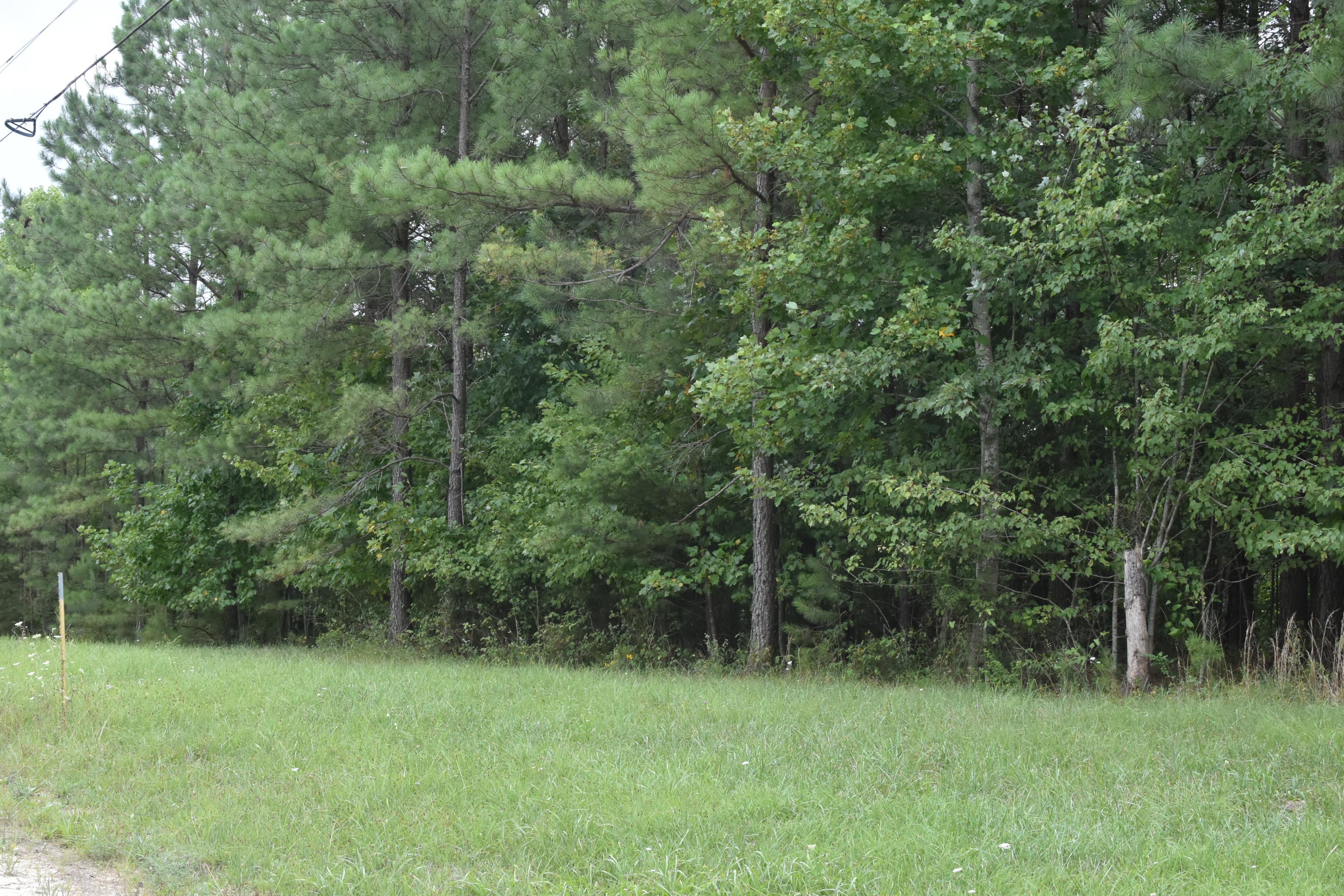 Billy Branch Road Sparta, TN 38583 - Photo 4 of 5 DSC_6153