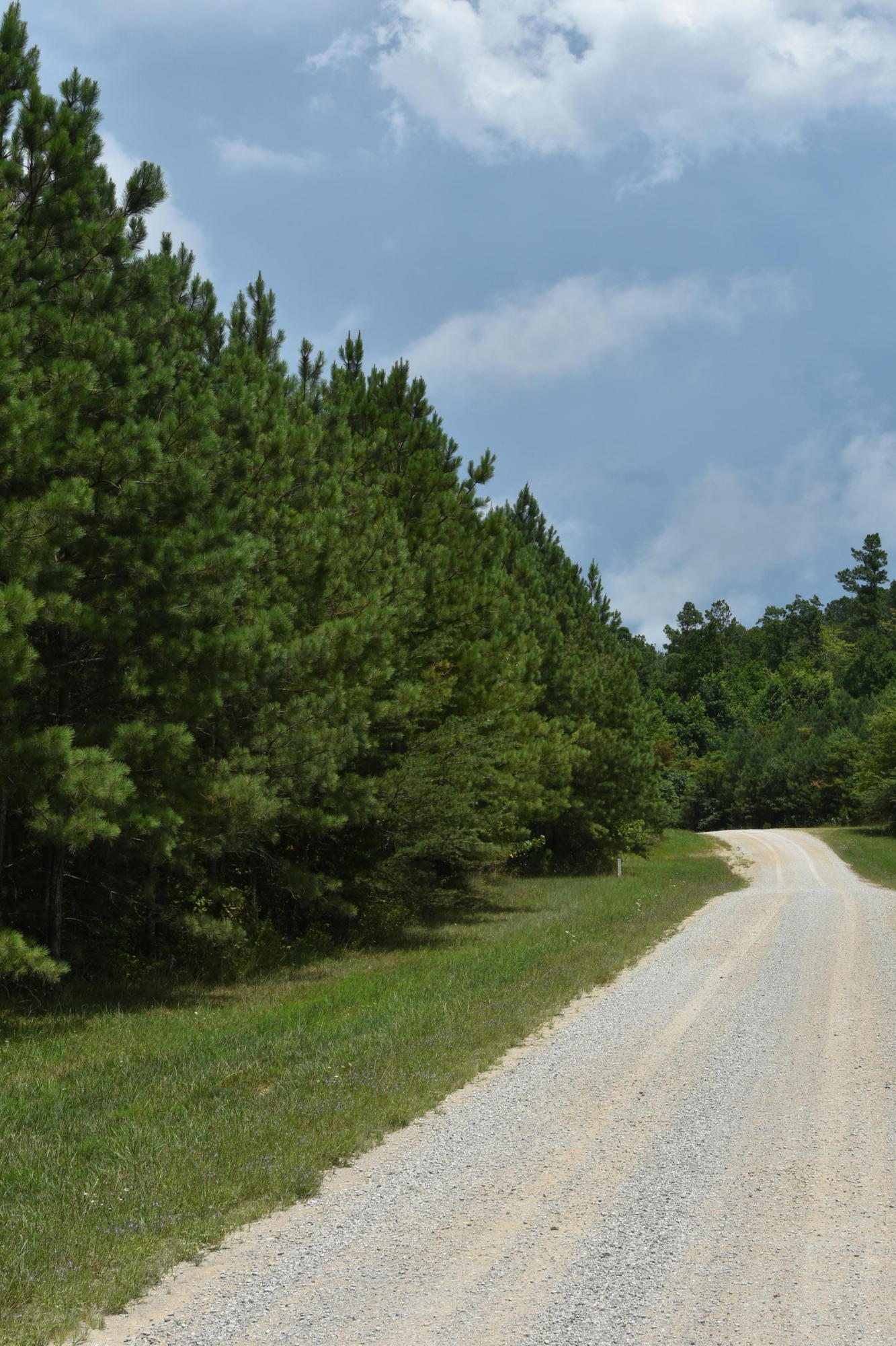 Billy Branch Road Sparta, TN 38583 - Photo 5 of 5 DSC_6164