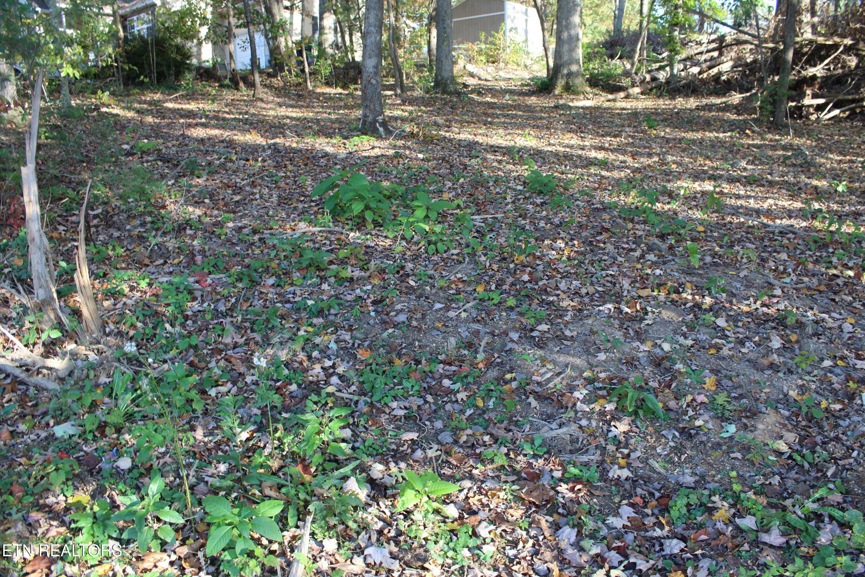 Abby Lane Jacksboro, TN 37757 - Photo 3 of 4 IMG_7211