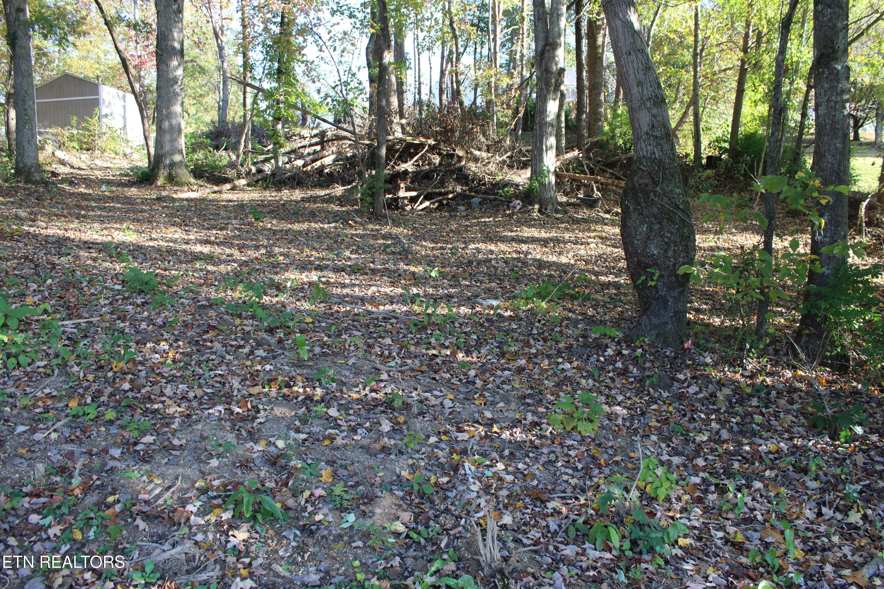 Abby Lane Jacksboro, TN 37757 - Photo 4 of 4 IMG_7212
