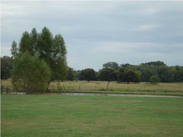 1618 North Terrace Road Broussard, LA 70518 - Photo 2 of 7 Gallery Image 2