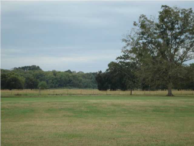 1618 North Terrace Road Broussard, LA 70518 - Photo 6 of 7 Gallery Image 6