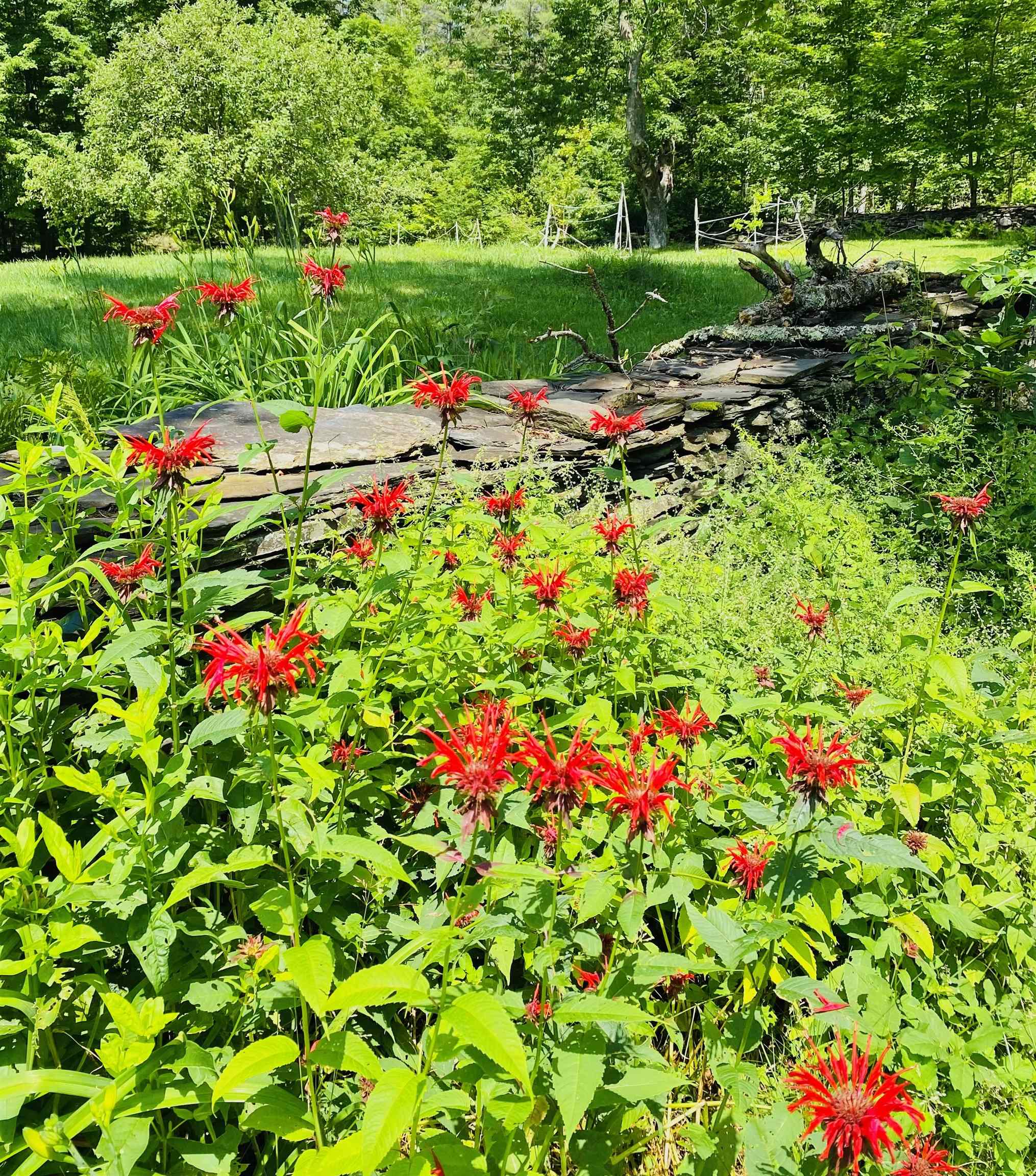 762 Apple Hill Road Calais, VT 05650 - Photo 54 of 56