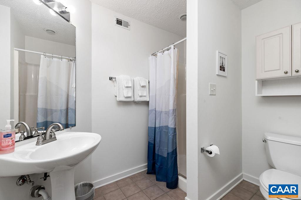 2013 Stone Rdg Wds Roseland, VA 22967 - Photo 17 of 24 a bathroom with a sink toilet and shower