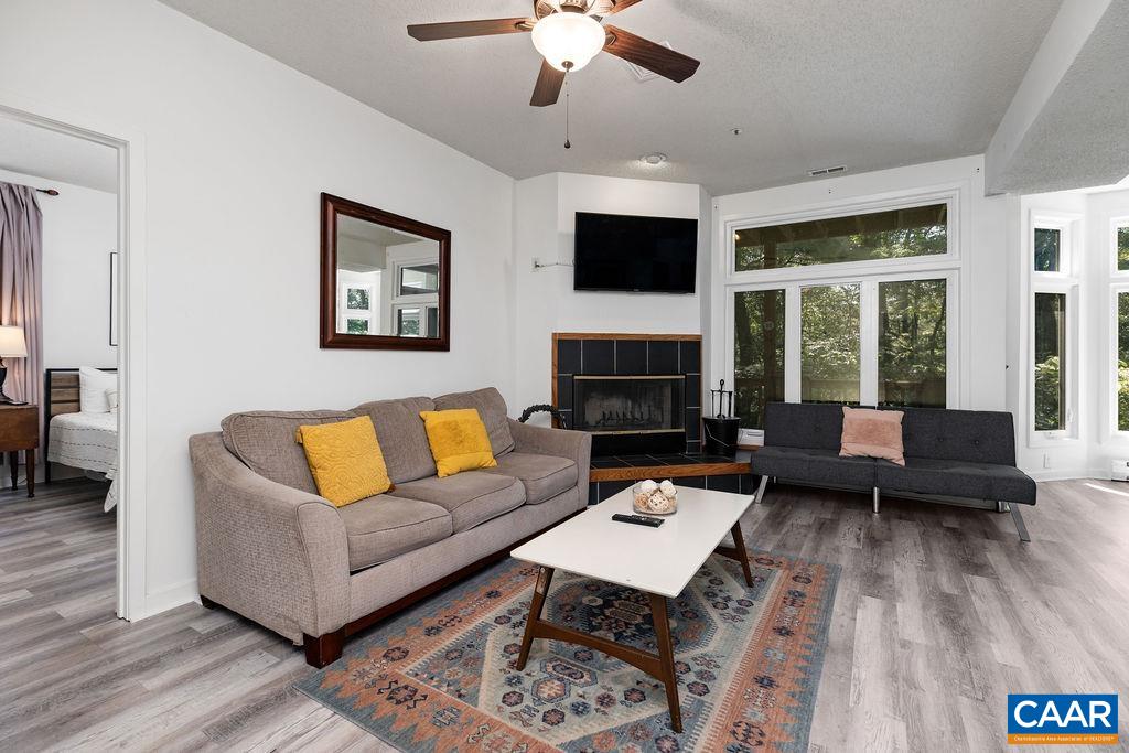 2013 Stone Rdg Wds Roseland, VA 22967 - Photo 4 of 24 a living room with furniture fireplace and a flat screen tv
